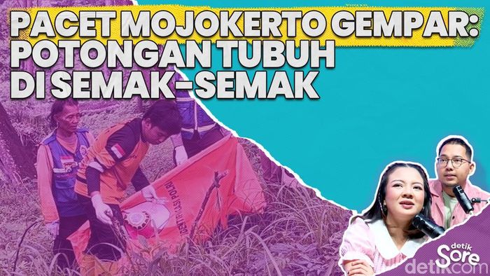 Video: Di Balik Penemuan Ratusan Potongan Tubuh Manusia di Mojokerto