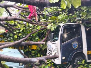 Hujan Angin, Pohon Tumbang Timpa Sejumlah Mobil di Kecamatan Kebon Jeruk Hujan Angin, Pohon Tumbang Timpa Sejumlah Mobil di Kecamatan Kebon Jeruk