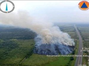 Lahan Seluas 4 Hektare di Samping Tol Palindra Terbakar, Sudah Padam Lahan Seluas 4 Hektare di Samping Tol Palindra Terbakar, Sudah Padam