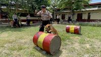 Mengenal Unit Satwa K-9 Polda Jatim yang Bantu Bongkar Kasus Mulitasi