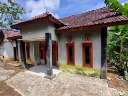 3 Hari di Gunungkidul, Anggun Sopir Bank Gondol Rp 10 M Tak Pernah Keluar Rumah