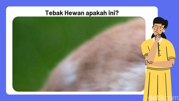 Asah Otak, Seberapa Cepat Bisa Tebak Gambar Ini?