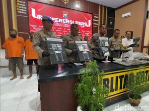 Fakta Baru Ladang Ganja di Blitar: Jual Ganja Kering Rp 5 Juta Per Kg Fakta Baru Ladang Ganja di Blitar: Jual Ganja Kering Rp 5 Juta Per Kg