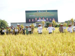 Pak Yes Tekankan Pentingnya Kolaborasi Jaga Kondusifitas-Ketahanan Pangan Pak Yes Tekankan Pentingnya Kolaborasi Jaga Kondusifitas-Ketahanan Pangan