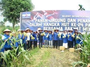 Demokrat Riau Rayakan Hari Jadi Ke-24 dan HUT SBY Bersama Petani Jagung Demokrat Riau Rayakan Hari Jadi Ke-24 dan HUT SBY Bersama Petani Jagung