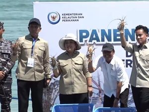 Video: Momen Gibran Panen Lobster Bareng Titiek Soeharto-Trenggono Video: Momen Gibran Panen Lobster Bareng Titiek Soeharto-Trenggono