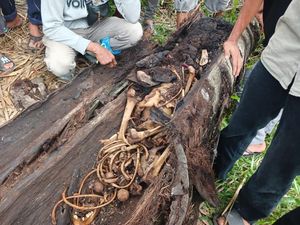 Potret Kerangka Manusia Dalam Pohon Aren di Sergai Potret Kerangka Manusia Dalam Pohon Aren di Sergai