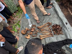 Langkah Terbaru Mengungkap Misteri Kerangka Manusia dalam Pohon di Sumut Langkah Terbaru Mengungkap Misteri Kerangka Manusia dalam Pohon di Sumut