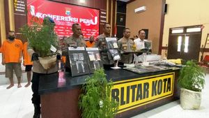 Polisi Bongkar Ladang Ganja di Blitar