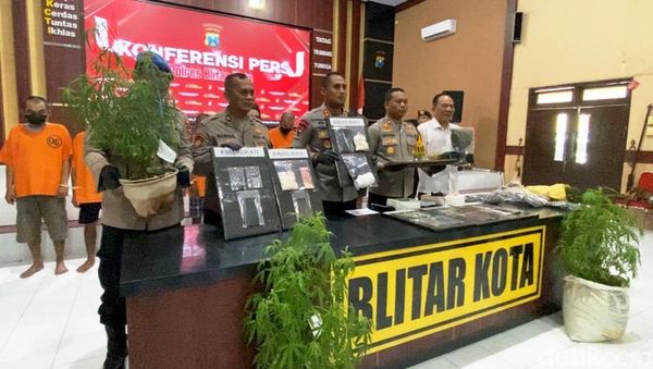 Polisi Bongkar Ladang Ganja di Blitar