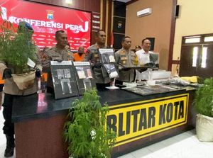 Polisi Bongkar Ladang Ganja di Blitar Polisi Bongkar Ladang Ganja di Blitar