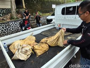Polisi Amankan Sejumlah Orang di Lokasi Tambang Emas Ilegal Sukabumi Polisi Amankan Sejumlah Orang di Lokasi Tambang Emas Ilegal Sukabumi