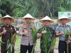 Polisi-TNI dan Imigrasi Tanam Kelapa di Dumai, Emas Hijau untuk Masa Depan