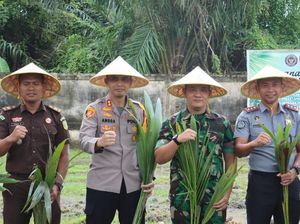Polisi-TNI dan Imigrasi Tanam Kelapa di Dumai, Emas Hijau untuk Masa Depan Polisi-TNI dan Imigrasi Tanam Kelapa di Dumai, Emas Hijau untuk Masa Depan