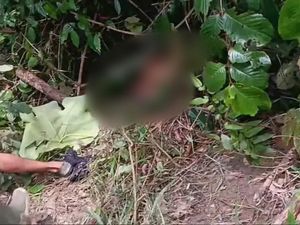 Warga Musi Rawas Temukan Mayat Pria di Kebun Kopi Warga Musi Rawas Temukan Mayat Pria di Kebun Kopi