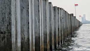 Melihat Lebih Dekat Tanggul Laut Cilincing yang Viral di Media Sosial