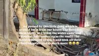 7 Foto Artis Ungkap Kondisi Banjir di Bali, Ada yang Rumahnya Ikut Terdampak