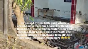 7 Foto Artis Ungkap Kondisi Banjir di Bali, Ada yang Rumahnya Ikut Terdampak