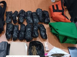 Pria Bogor Ditangkap Diduga Edarkan Narkoba, 14 Bungkus Ganja Disita