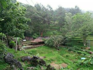 Desa Wisata yang Wajib Dikunjungi Saat Liburan ke Pasuruan Desa Wisata yang Wajib Dikunjungi Saat Liburan ke Pasuruan