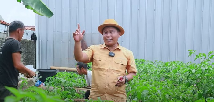 Narji Cagur jadi petani Narji Kini Jadi Petani, Bagikan Tips Mudah Menanam Pohon Cabai