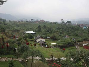 Padusan Park, Wisata Camping di Pacet Mojokerto Padusan Park, Wisata Camping di Pacet Mojokerto