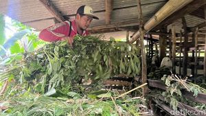 Mengenal Sosok Sulistiawan yang Bantu Ungkap Kasus Mutilasi Pacet