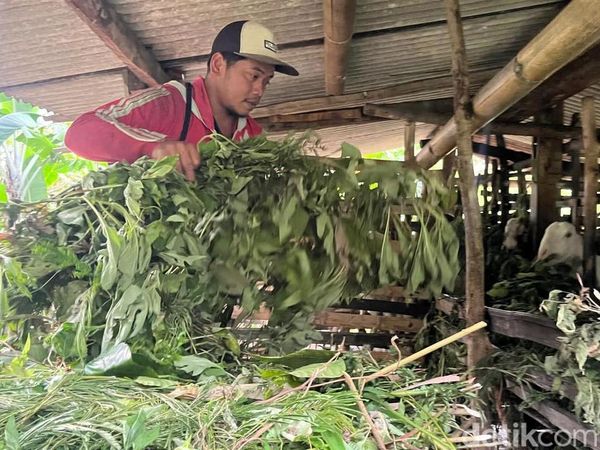 Mengenal Sosok Sulistiawan yang Bantu Ungkap Kasus Mutilasi Pacet