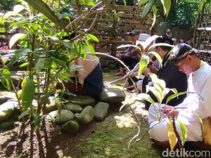 Tradisi Merlawu, Jejak Syukur Warga Wanasigra di Situs Kabuyutan Gandoang Tradisi Merlawu, Jejak Syukur Warga Wanasigra di Situs Kabuyutan Gandoang