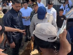 Video: Momen Prabowo Temui Anjing yang Selamatkan Tuannya saat Banjir Bali