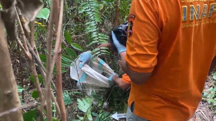 Konawe Selatan Berduka: Bocah 5 Tahun Tewas Dibalut Karung, Tetangga Sendiri Diduga Pelaku