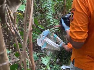 Bocah 5 Tahun Tewas Terbungkus Karung di Konsel Diduga Korban Pelecehan Bocah 5 Tahun Tewas Terbungkus Karung di Konsel Diduga Korban Pelecehan
