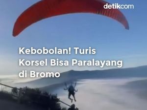 Wisatawan Korsel Paralayang di Bromo, TNBTS Tak Terima Disebut Kecolongan Wisatawan Korsel Paralayang di Bromo, TNBTS Tak Terima Disebut Kecolongan