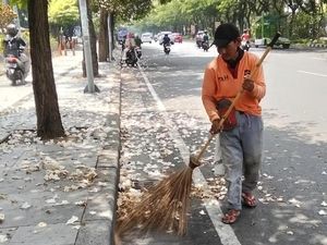 DLH Surabaya Siagakan Pasukan Tambahan Atasi Guguran Tabebuya DLH Surabaya Siagakan Pasukan Tambahan Atasi Guguran Tabebuya