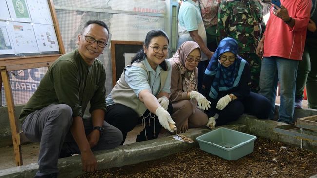 Panen Perdana, Walkot Semarang Apresiasi Budidaya Maggot di Jabungan