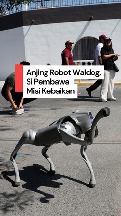Video Anjing Robot Pembawa Misi Kebaikan di Jalanan, Intip Aksinya