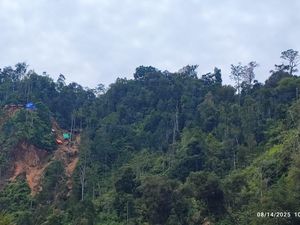 Tambang Ilegal Ditertibkan, Ratusan Hektare Lahan Kembali ke Negara