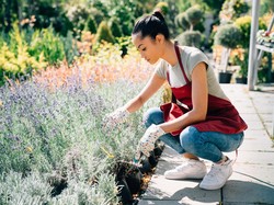 Kalender Jawa Minggu Legi 19 April 2026: Baik untuk Bercocok Tanam