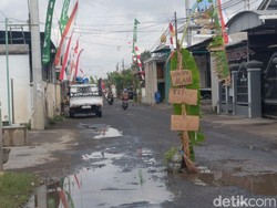 Jalan Rusak Parah, Warga Ngunut Tulungagung Tanami Pohon Pisang