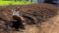Video Dosen UIN Malang Guling-guling di Tanah saat Ribut dengan Tetangga