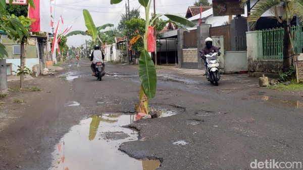 Potret Jalan Rusak di Tulungagung Ditanami Pohon Pisang