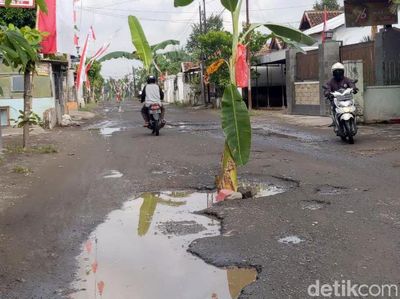 Potret Jalan Rusak di Tulungagung Ditanami Pohon Pisang