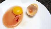 6 Arti Warna di Dalam Telur, dari Bintik Merah hingga Putih Telur Keruh