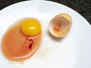 6 Arti Warna di Dalam Telur, dari Bintik Merah hingga Putih Telur Keruh
