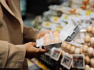 Terungkap! 10 Produk Makanan Paling Berisiko Sebabkan Keracunan