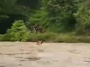 Video Pengakuan Ibu di Polman yang Terobos Sungai Meluap Demi Anak di Rumah Video Pengakuan Ibu di Polman yang Terobos Sungai Meluap Demi Anak di Rumah
