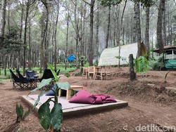 Begitu Istimewanya Gunung Ciremai... Rumah Macan Tutul, Tower Air Jabar