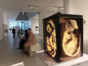 Menikmati 300 Jepretan Karya Fotografer Indonesia-Mancanegara di JIPFest 2025 Menikmati 300 Jepretan Karya Fotografer Indonesia-Mancanegara di JIPFest 2025
