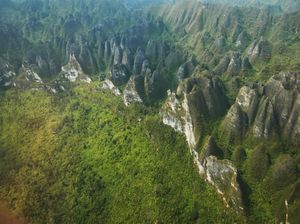 Mengenal Karst Sangkulirang-Mangkalihat, Situs Berharga Pulau Borneo Mengenal Karst Sangkulirang-Mangkalihat, Situs Berharga Pulau Borneo