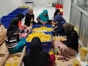 Olahan Nanas Purbalingga Raup Pasar Global, Libatkan 900 Petani Lokal